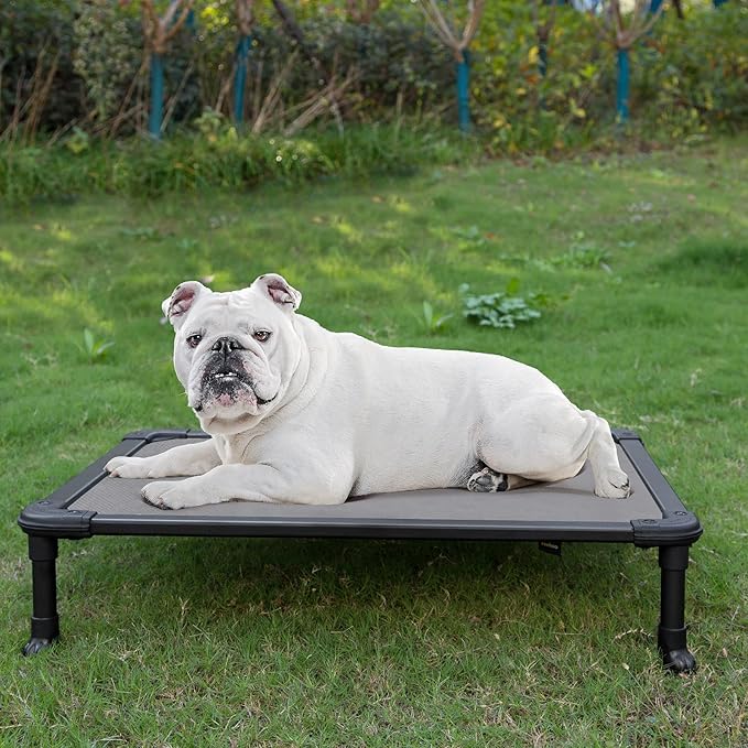 Veehoo Chew Proof Elevated Dog Bed - Cooling Raised Pet Cot - Rustless Aluminum Frame and Durable Textilene Mesh, Unique Designed No-Slip Feet for Indoor or Outdoor Use, Grey, Medium, CWC2002