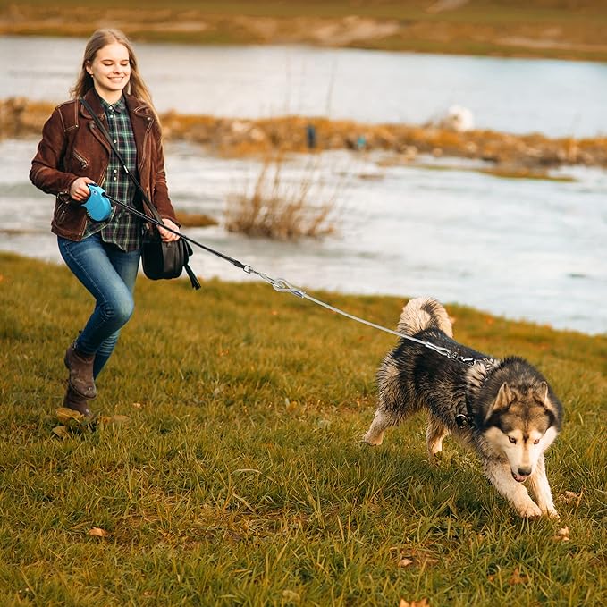 16ft Retractable Dog Leash for Large Breed Dogs up to 110 lbs with a Detachable Chew Proof Extender Wire Ropes (Blue L)