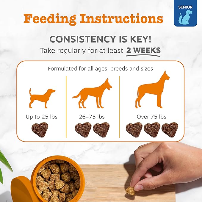 Zesty Paws Dog Allergy Relief - Anti Itch Supplement - Omega 3 Probiotics for Dogs - Stop Paw Licking - Soft Chews for Skin Health & Seasonal Allergies - with Epicor Pets - Senior - Salmon - 90 Count