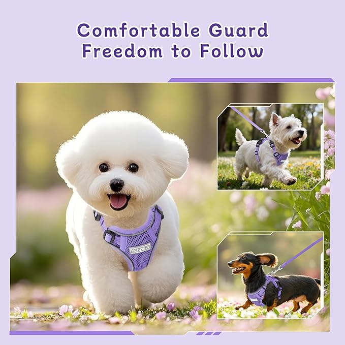 Small Dog Harness and Leash Set, Reflective Soft Breathable Mesh Vest, 3 Buckles, Adjustable Neck and Chest,Step in Dog Harness for Walking, Running, Training, Purple, M
