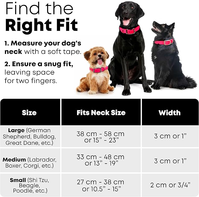 Regal Dog Products Medium Pink Reflective Dog Collar with Custom Engraved Name Plate and Heavy Duty Center Ring | Waterproof Biothane Personalized Dog Collars - Other Sizes for Small & Large Dogs