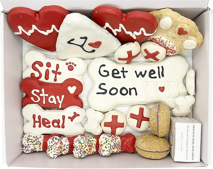 Bonne et Filou Get Well Soon Dog Treats, Gourmet Gift Box, 21 Luxury Macarons, Truffles & Bone Cookies, Healthy & Delicious Snacks for Medium to Large Dogs