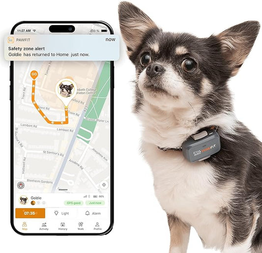 Pawfit Lite for Small Dogs 4g GPS Tracker | Real Time Tracking | Activity Monitoring |Location History | Unlimited Range | Charcoal Grey