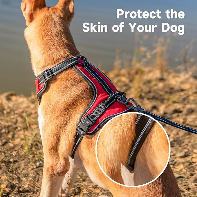 EXCELLENT ELITE SPANKER Nylon Reflective Dog Harness Adjustable No Pull Lightweight EVA Padded Vest Nameplate-Front Clip Service Dog Harness with Buckle for Medium Large Dogs (Red, XL)