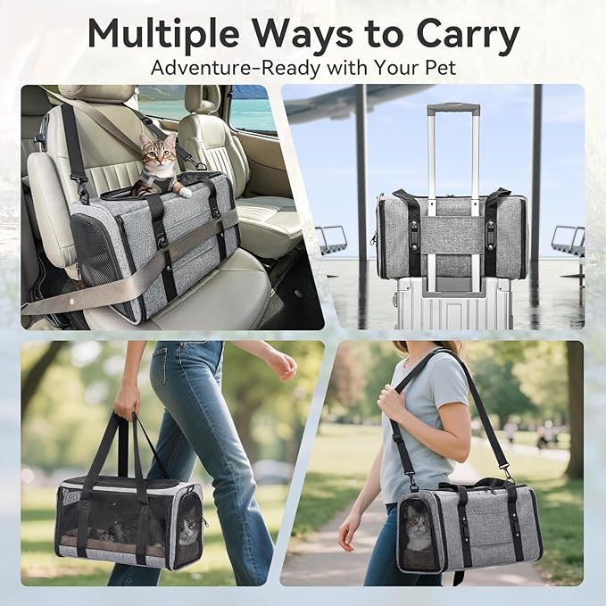 PETSFIT Cat Car Carrier for Medium Cats Dogs, 19"x12"x12" Small Dog Carrier, with Patent Safety Buckles and Escape-Proof Zipper - Safeguarding Car Travel, Vet Visit, Outdoor