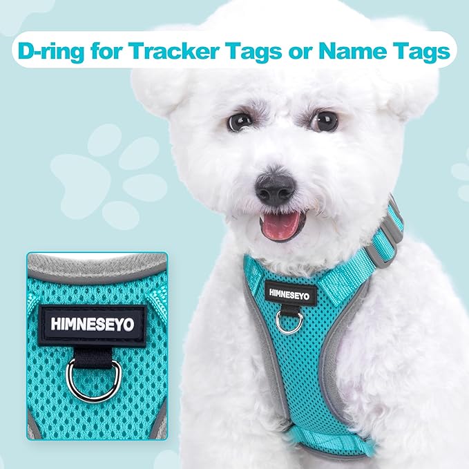 Small Dog Harness and Leash Set，No Pull Adjustable Pet Harness for Small Dogs ，Breathable Mesh Reflective Dog Vest Harness (Turquoise, XS)