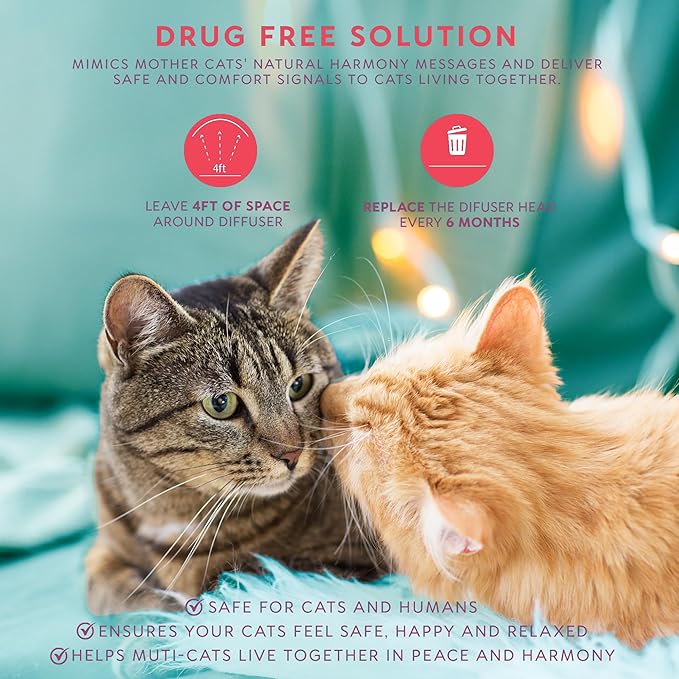 Cat Pheromones Calming Diffuser: Premium Cat Calming Diffuser - Cat Pheromone Diffuser - Pheromone Diffuser to Calm Cats - Cute Shape Feline Pheromone Diffuser, 2Pack (Mint)