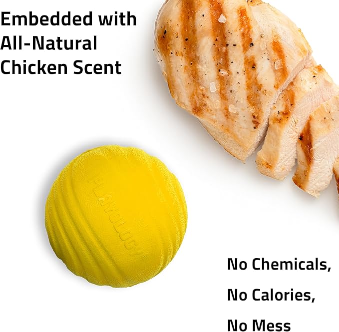 Playology Dog Toys | Dual Layer Ball Durable Chew Toy for Aggressive Chewers | Medium Chicken Scented Toy - Easy to Clean and Made from Non Toxic Materials