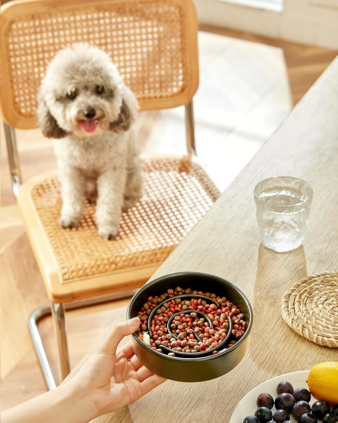 Ceramic Slow Feeder Dog Bowls, 0.6 Cup Slow Feeder for Small Dogs and Cats, Puzzle Maze Bowl, Prevents Choking, 6in, Black