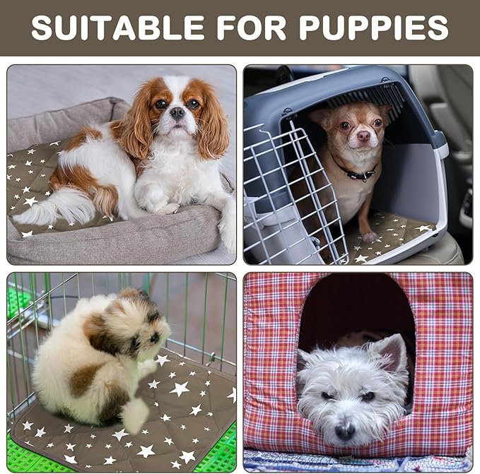 Namalu 4 Pack Self Warming Cat Bed Self Heating Cat Mat Star Pattern Soft Dog Crate Pad Thermal Pet Mat Anti Slip Kennel Dog Washable Warming Bed for Outdoor Indoor(12 x 12 Inch,Brown)