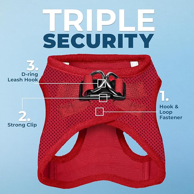 Voyager Step-in Air All Weather Mesh Harness and Reflective Dog 5 ft Leash Combo with Neoprene Handle, for Small, Medium and Large Breed Puppies by Best Pet Supplies - Set (Red), M (Chest: 16-18")