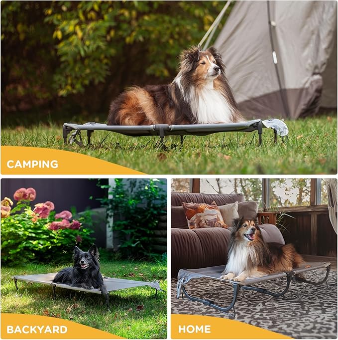 Daisy Cot, Medium Foldable Elevated Dog Bed, Portable Raised Outdoor Folding Dog Cot, Cooling, Chew Proof, Waterproof, Heavy Duty Up to 160 lbs for Camping/Home, Grey, 32"x 19"x6"