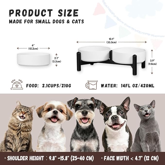 Raised Ceramic Dog Bowl Set - Elevated Double Dishes with Stainless Steel Stand - Food and Water Bowls for Small Dogs and Indoor Cats - Each Holds 2.1 Cups (14 fl oz) - White