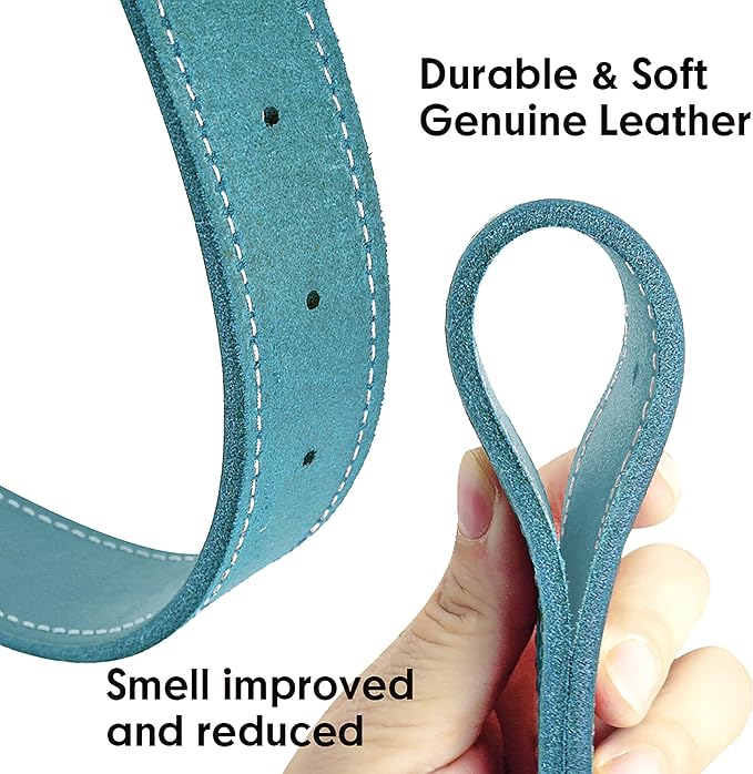 Didog Genuine Leather Dog Collars with Engraved Nameplate, Personalized Soft Leather Dog Collar with Custom ID Tag, Brown/Green/Red for Medium Large Dogs (XL,Blue)