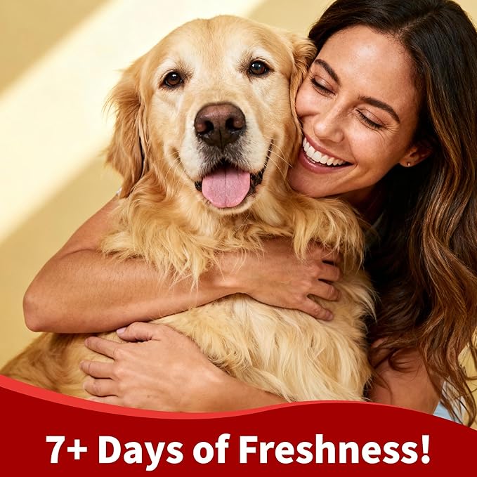 Arf Arf Tearless Puppy & Kitten Shampoo with Oatmeal & Honey - Gentle, Soothing Formula for Sensitive Skin & Soft Fur - 16oz