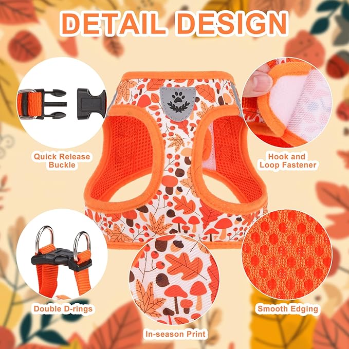 EXPAWLORER Thanksgiving Autumn Puppy Harness - Dog Collar and Leash - Soft Mesh Padded Adjustable Step in Small Dog Vest Harness No Pull, Reflective Escape Proof for Outdoor Walking, Orange M