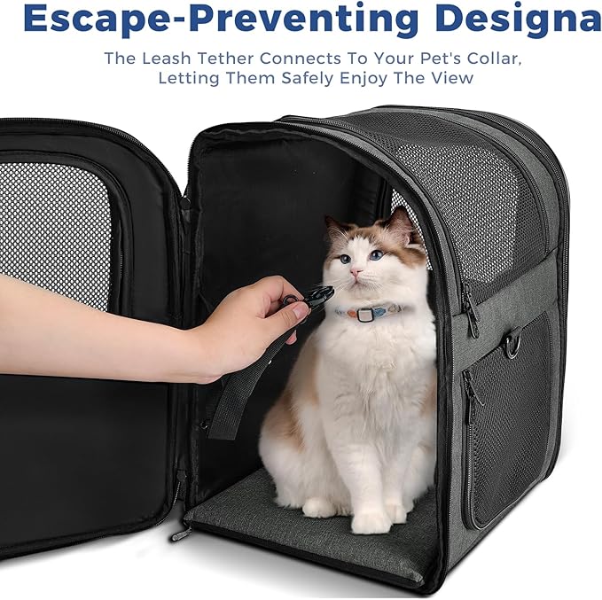 Apollo Walker Pet Carrier Backpack for 4-18lb Cats and Dogs, Puppies, Safety Features and Cushion Back Support | for Travel, Hiking, Outdoor Use (Gray)