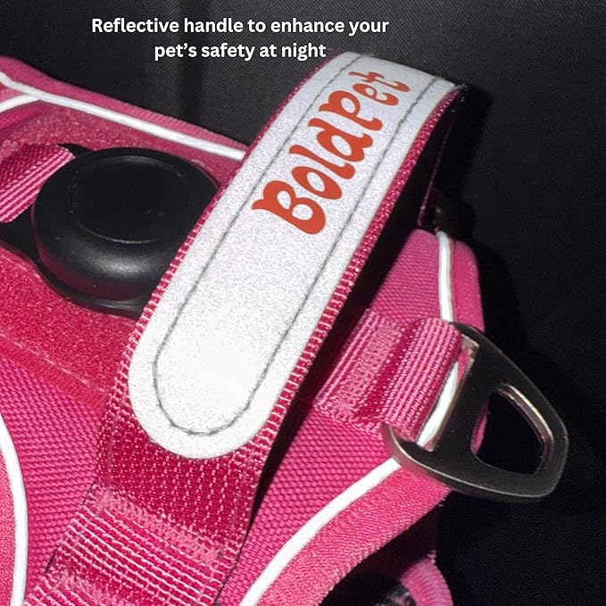 Dog Harness with Airtag Holder and Leash Set-Premium Oxford Breathable Material- Durable Reflective Airtag Dog Harness and Leash Set for Small, Medium, Large and X Large Dogs