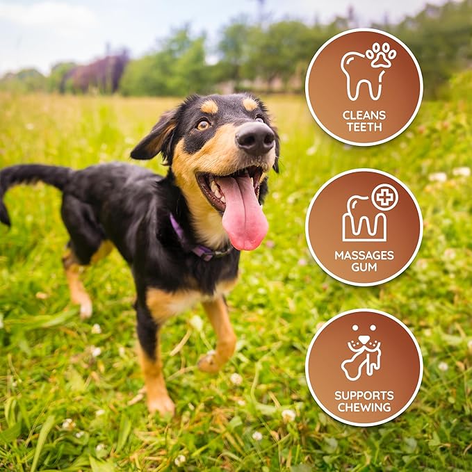 Wildfang® Leather Dog Toy, Small - Leather Bone for Teething Dog, Dental Toys for Puppies, Training for Chewing Muscles, Puppy Chew Bones for Light or Medium Chewers (for Dogs Under 22 lbs), Pack of 1