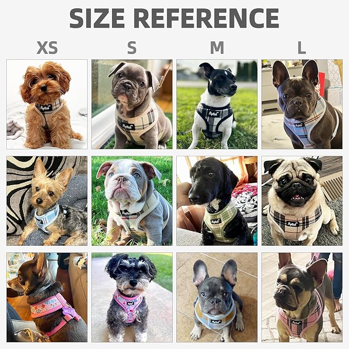 PUPTECK Soft Mesh Dog Harness and Leash Set Pet Puppy Cat Comfort Padded Vest No Pull Harnesses, Blue&Brown, M