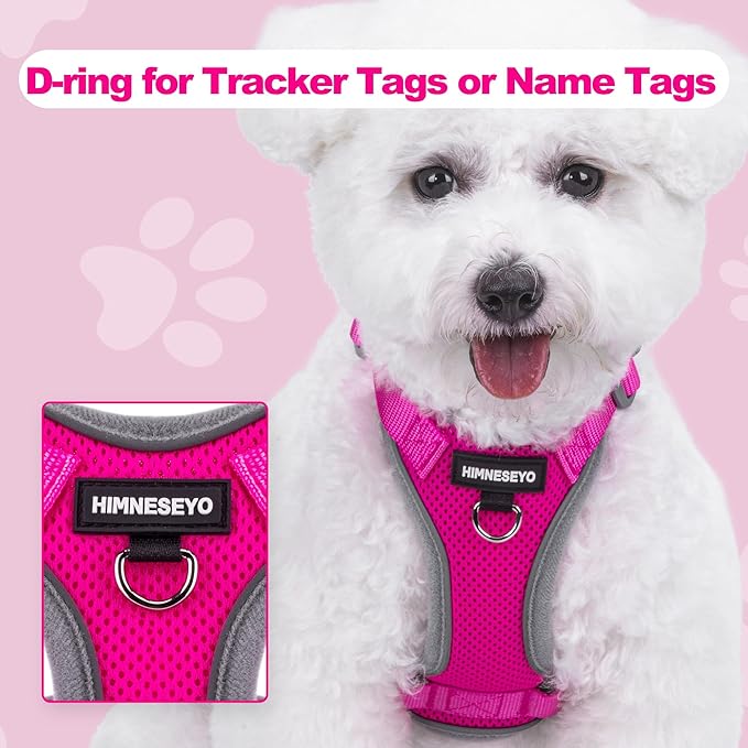 Small Dog Harness and Leash Set, No Pull Adjustable Pet Harness for Small Dogs, Breathable Mesh Rflective Dog Vest Harness (Rose Red, S)