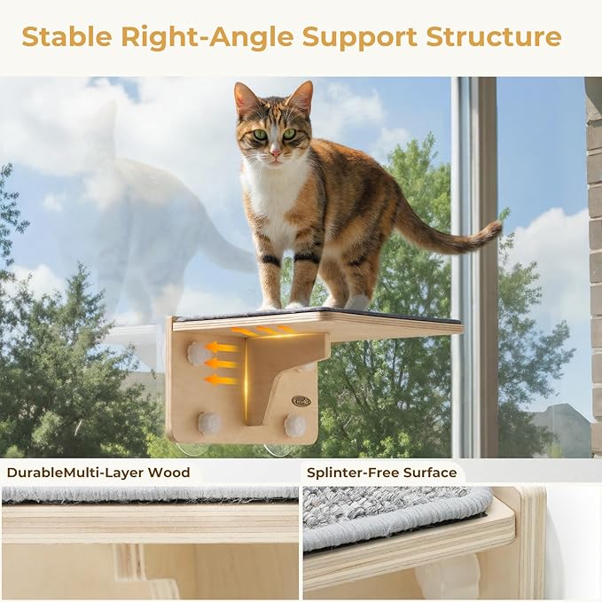 Pecute 2-in-1 Cat Window Perch & Wall Shelves - Sturdy Solid Wood Frame, 4 Large Rotating Suction Cups, Washable Carpet Cloth Cover, Space-Saving Indoor Cat Hammock Bed for Kittens Inside, 12"x10"