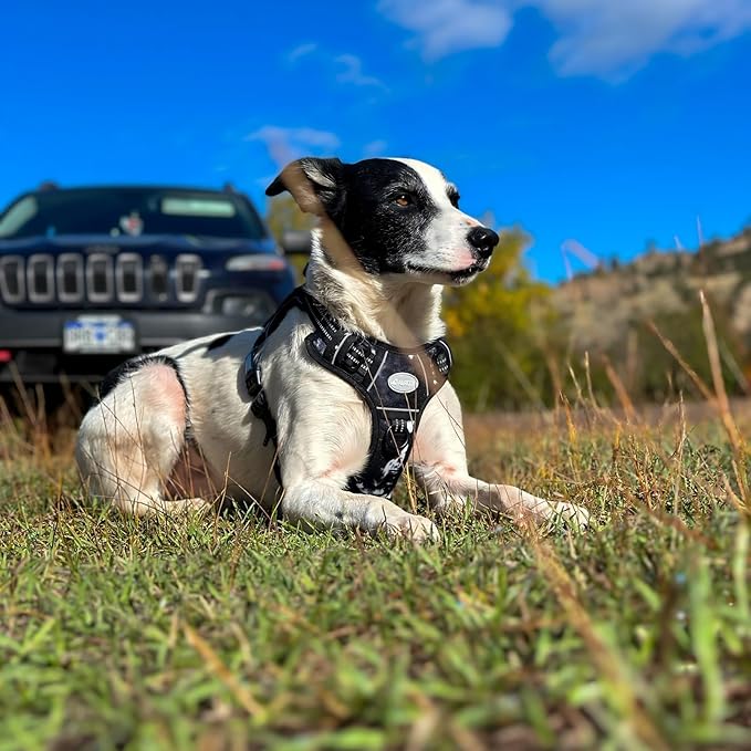 AUROTH Tactical Dog Harness for Small Medium Large Dogs - No Pull, Adjustable, Reflective, K9 Working Training, Easy Control, Military Service Dog Harness (M, Black Ink)