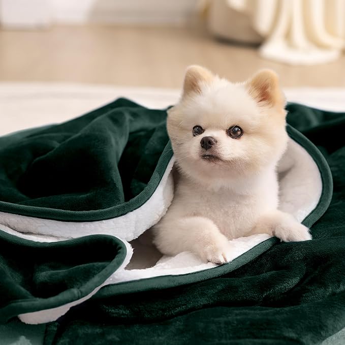gogobunny Waterproof Bed Blanket, Reversible Sherpa Fleece Throw Blanket for Dog Puppy Cat, Furniture Cover Protects Bed Couch Sofa from Liquid Pee and Pet Fur (Forest Green, 30x30 inches)