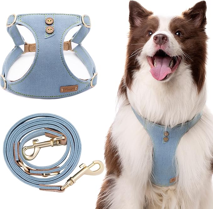 Dog Harness, No Pull Dogs Harness and Multi-Function Leash Set for Medium Dogs Easy Walk Everyday Adjustable Soft Dog Vest Harness Fashionable Dog Accessories Glacier Blue Button-Slim Large