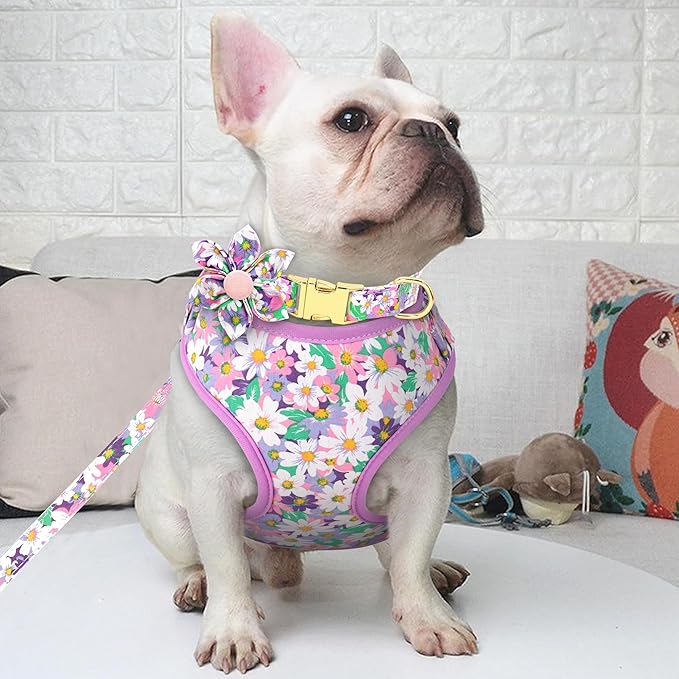 Beirui Cute Girl Dog Collars, Harnesses & Leashes Set - Adjustable Dog Collar and Leash Set with Flower - Soft Mesh Dog Vest Harness for Puppies Small Medium Dogs (Purple,S)