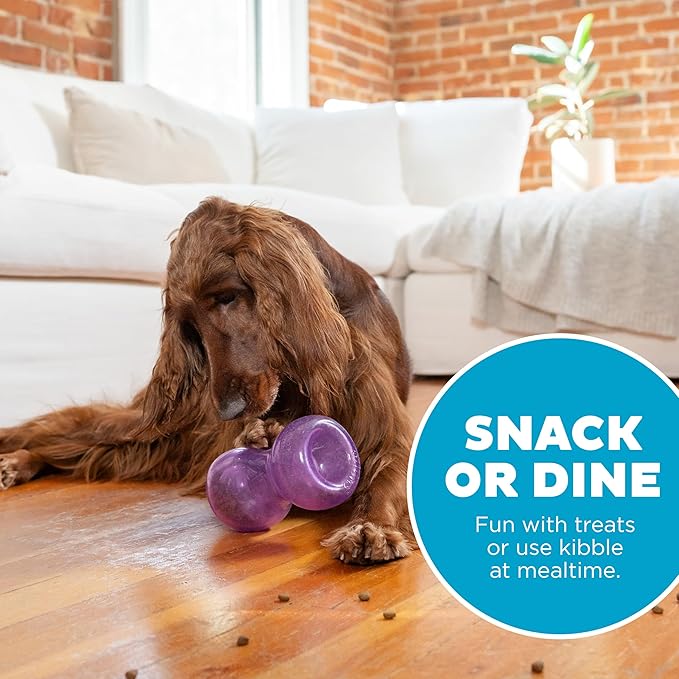 Outward Hound Double Snoop Interactive Treat Dispensing Dog Toy, Puzzle Ball Slow Feeder for Medium to Large Dogs, Mint-Scented for Mental Stimulation & Boredom Relief, 6-inch