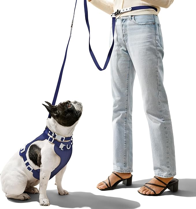 WLK1005J-5SET Luna Medium 8FT Adjustable 6-in-1 Waterproof Hands-Free Leash and Collar with LED Flashlight, Bag Dispenser, and Poop Bag Holder, Highball