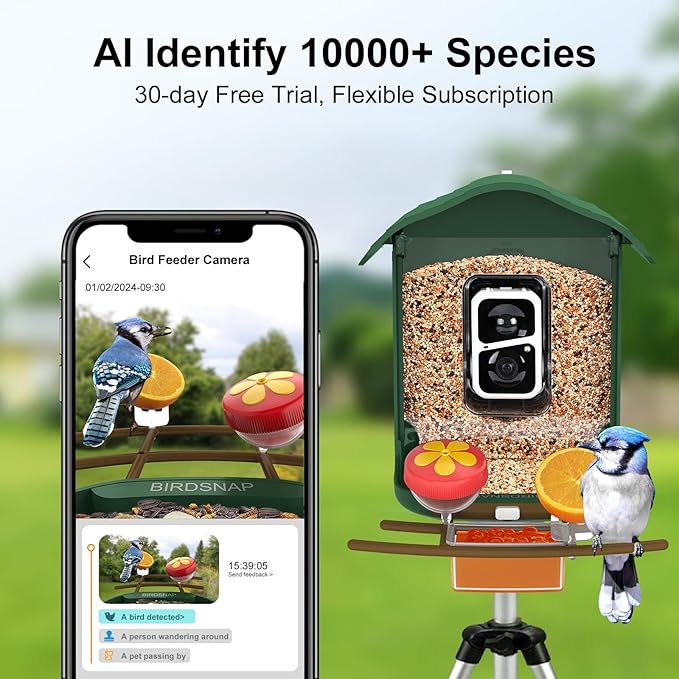 birdsnap® PAV- Smart Bird Feeder with Camera Solar Powered, 64GB Card & 2K HD Record Video Bird Camera Live with 5 DIY Add-ons, AI Identify Auto Capture, Ideal Gift for Birds Lover