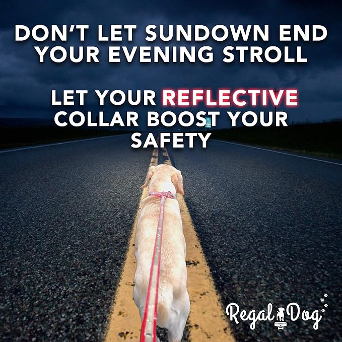 Regal Dog Products Medium Red Reflective Dog Collar with Custom Engraved Name Plate and Heavy Duty Center Ring | Waterproof Biothane Personalized Dog Collars - Other Sizes for Small & Large Dogs