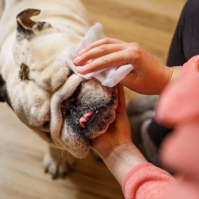 Inspire Naturals Pet Wipes for Dogs and Cats 100% Natural Plant Based with Organic Antioxidants, Dog Wipe Cleaning Deodorizing | Cat Wipes | Puppy Wipes | Dog Wipes for Paws and Butt (200ct - 4 Pack)