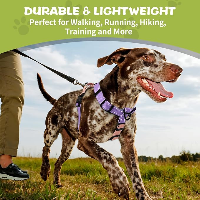 No-Pull Harness,Y-Shaped Design,Buckle-Neck Balance Harness with Reflective Stitching, Ideal for Dog Training and Night Walking, Padded Handle, Durable High-Tensile Nylon-Pink-L