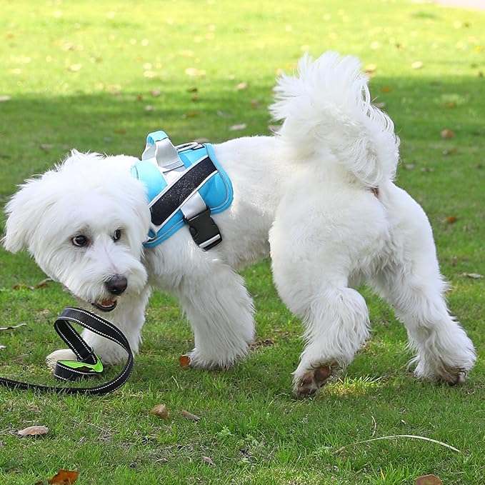 Bolux Dog Harness, No-Pull Reflective Dog Vest, Breathable Adjustable Pet Harness with Handle for Outdoor Walking - No More Pulling, Tugging or Choking (OceanicBlue, Medium (Pack of 1))