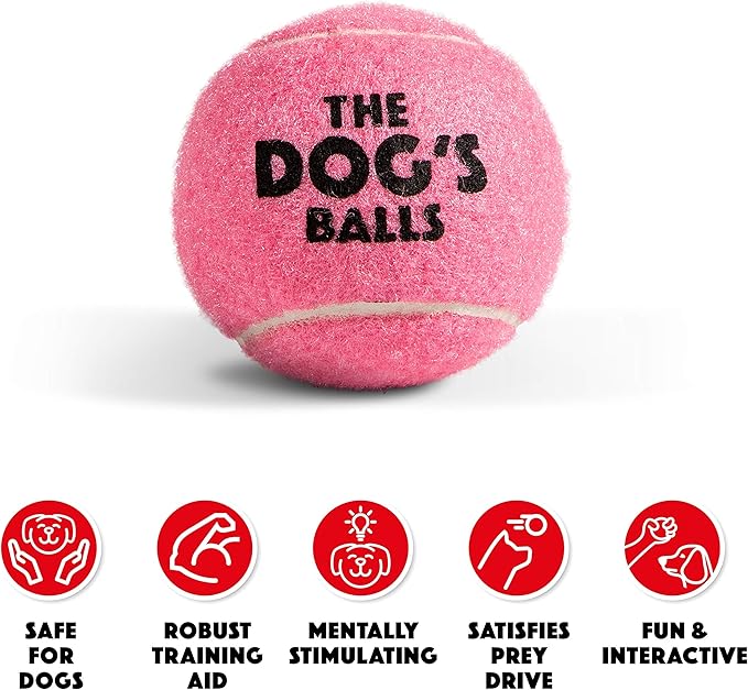 The Dog's Balls, Dog Tennis Ball, Pink 12-Pack, Strong Toy for Agility Training, Puppy Training, Play, Exercise & Fetch, 2.5 Inch Diameter