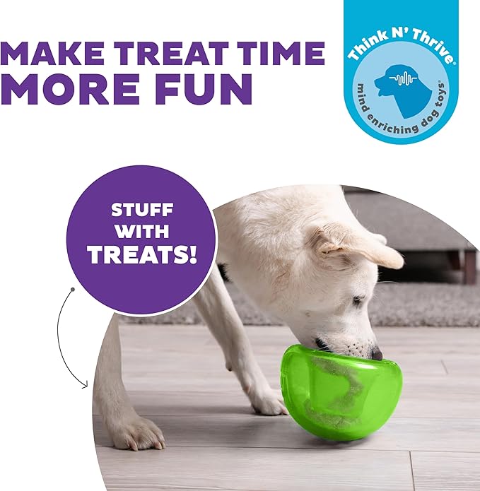 Outward Hound Large Snoop Interactive Treat Dispensing Dog Toy, Puzzle Ball Slow Feeder for Medium to Large Dogs, Mint-Scented for Mental Stimulation & Boredom Relief, BPA-Free, 5-Inch, Green