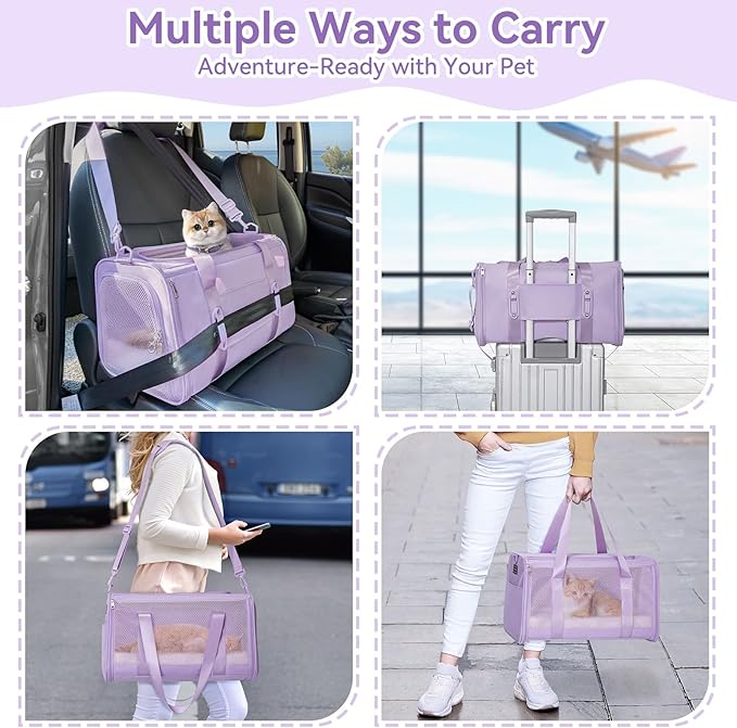 PETSFIT Cat Car Carrier for Medium Cats Dogs, 19"x12"x12" Small Dog Carrier, with Patent Safety Buckles and Escape-Proof Zipper - Safeguarding Car Travel, Vet Visit, Outdoor