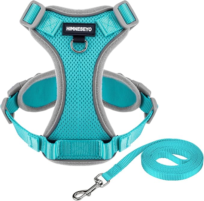 Small Dog Harness and Leash Set, No Pull Adjustable Pet Harness for Small Dogs, Breathable Mesh Rflective Dog Vest Harness (Turquoise, M)