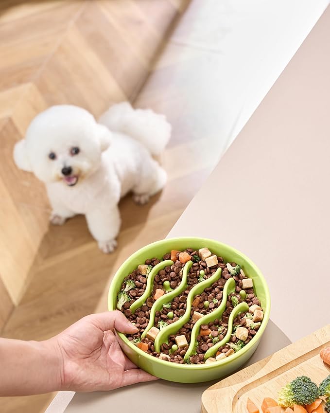 Ceramic Slow Feeder Dog Bowls for Medium and Large Dogs, 2.0 Cups Dog Slow Feeder for Fast Eater, 30oz, 8in, Lime Green