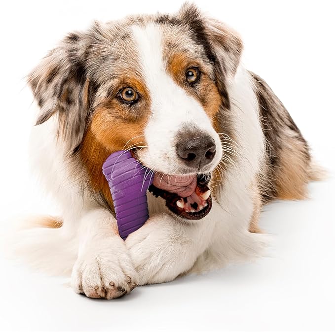 Playology Dog Toys | Dual Layer Bone Durable Chew Toy Bone for Dogs | Jumbo Bacon Scented Toy - Easy to Clean and Made from Non Toxic Materials