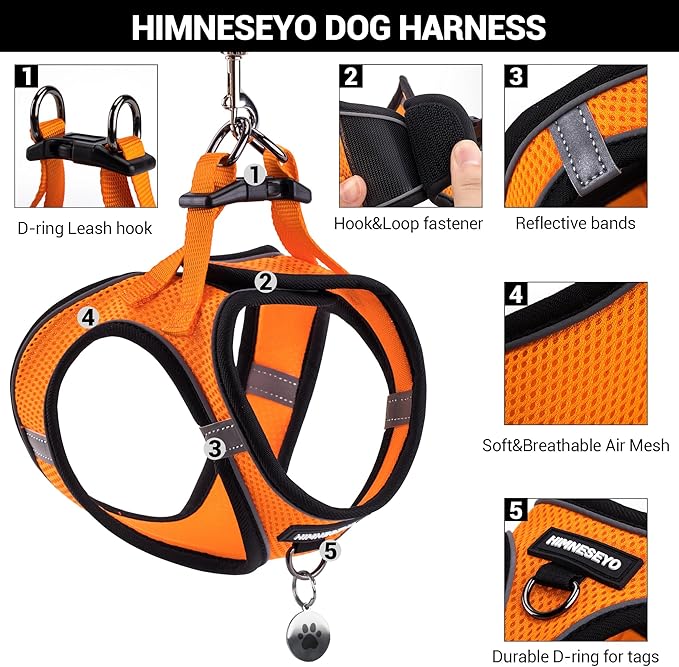 Dog Harness and Leash Set, Dog Harness for Dogs No Pull, No-Chock Step-in Reflective Breathable Lightweight Easy Walk Vest Harnesses with Safety Buckle for Small Medium Dogs, Cats (Orange, XXS)