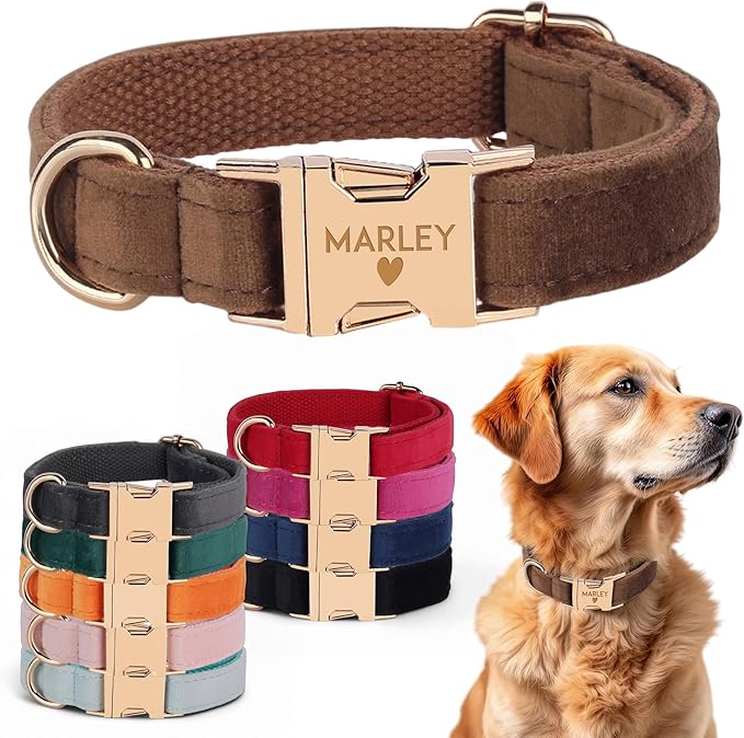Velvet Harness Set, Gift for Pet Owners, Custom Dog Collar Personalized with Name and Phone Number, Custom Collar and Leash for Dogs, Engraved Metal Buckle Collar (X-Small)