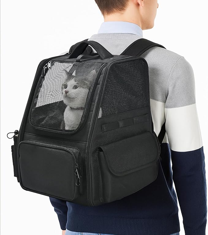 Amazon Basics Pet Backpack for Cats & Small Dogs, Collapsible Travel Carrier with Ventilated Mesh, Removable Pad, and Safety Leash, Black