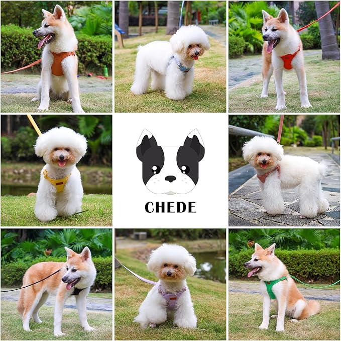 CHEDE No Pull Puppy Harness and Multifunction Dog Leash Set- 8 Colors Soft Adjustable No Choke Escape Proof Cute,Lightweight Pet Vest Harness for Small and Medium Dog (XXS, Purple)