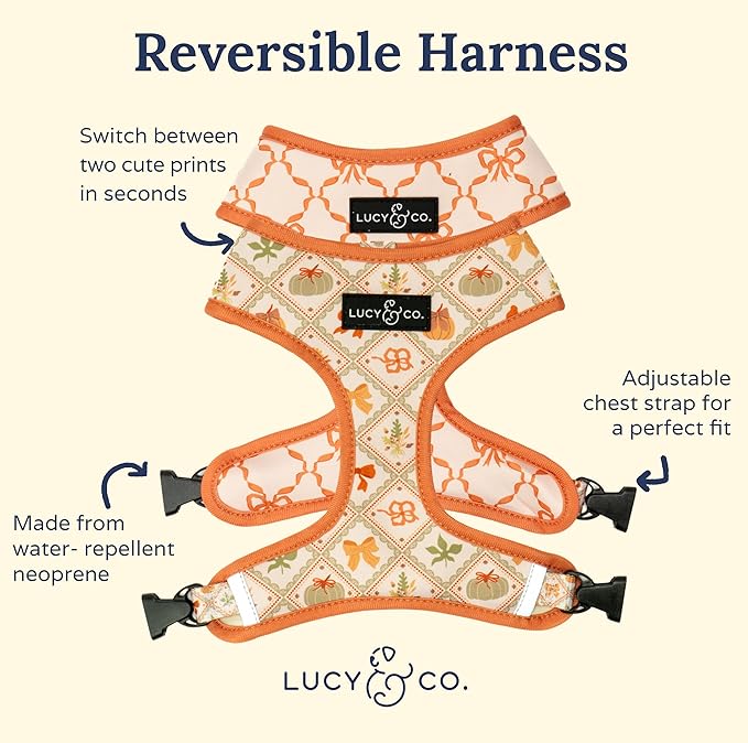 Lucy & Co. Cute Reversible Dog Harness Walking Halter - Best Designer Pet Harnesses for XS - XL Dogs - Padded Adjustable Vest for Easy Walking-X-Small-Orange Cream Pumpkin