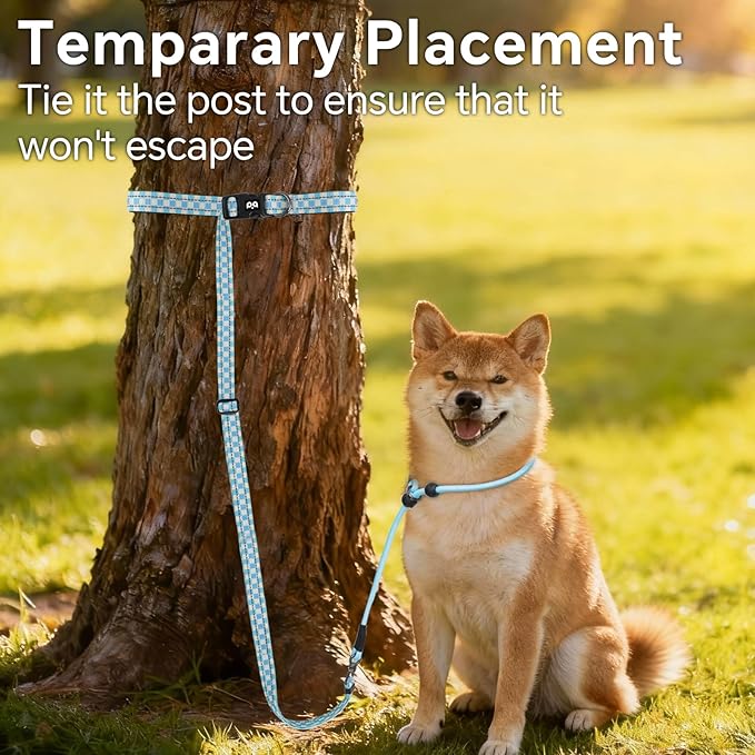 QQPETS Adjustable Slip Lead Dog Leash, Hands Free Waist Leash for Dog Walking, Reflective Training Lead with 360° Swivel Anti-Tangle, 4-7 ft Length for All Breeds