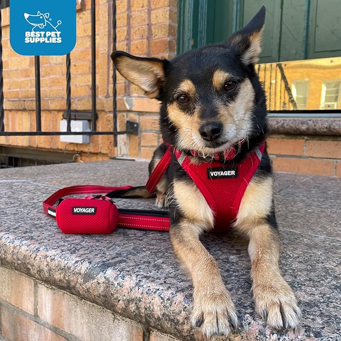 Voyager Step-in Air All Weather Mesh Harness & Reflective Dog 5 ft Leash Combo, Neoprene Handle, for Small, Medium, Large Breed Puppies by Best Pet Supplies - Leash Harness (Orange/Black Trim), M